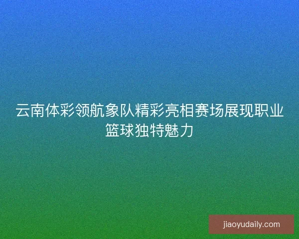 云南体彩领航象队精彩亮相赛场展现职业篮球独特魅力