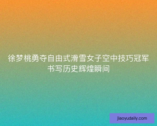 徐梦桃勇夺自由式滑雪女子空中技巧冠军书写历史辉煌瞬间