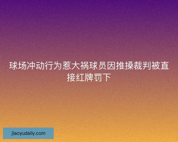 球场冲动行为惹大祸球员因推搡裁判被直接红牌罚下